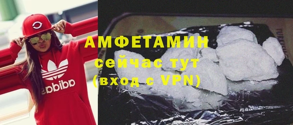 ГАЛЛЮЦИНОГЕННЫЕ ГРИБЫ Тайга